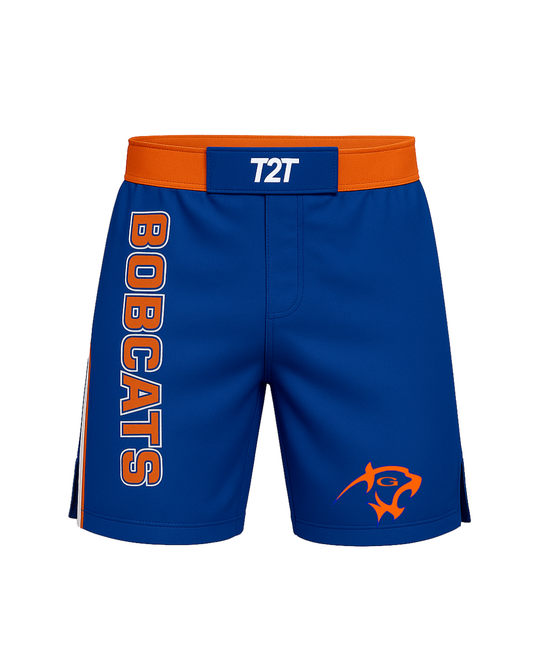 Fight Shorts
