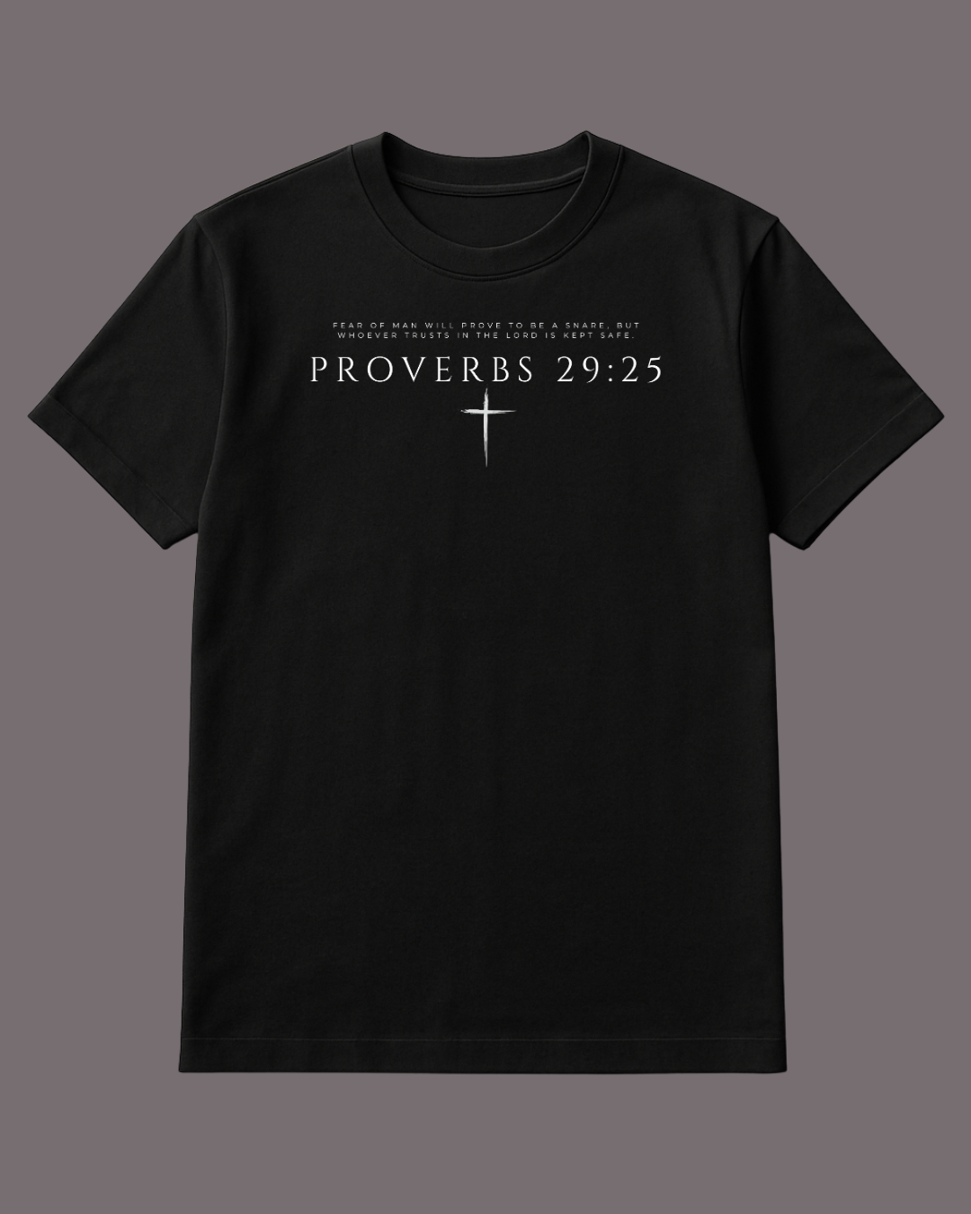 Proverbs t-shirt