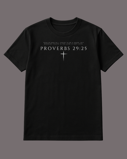 Proverbs t-shirt