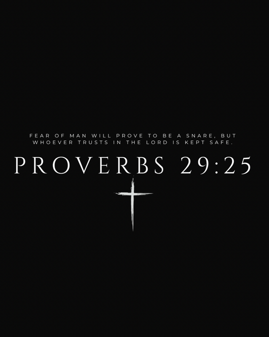 Proverbs t-shirt